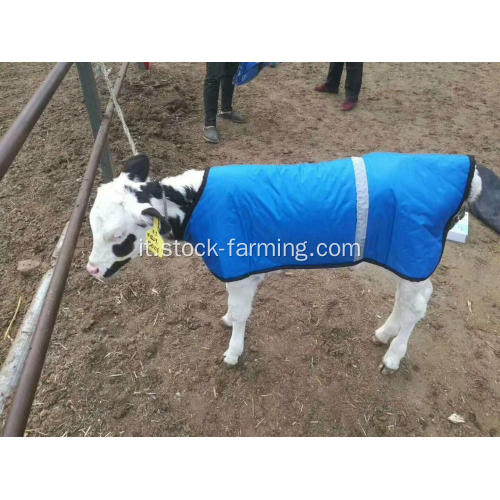 Giacca in pelle di vitello Tessuto di vacca per vitelli Tenere caldo